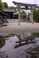 水たまりに映る離宮八幡宮の鳥居