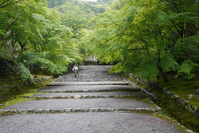 門から本堂に向かう参道