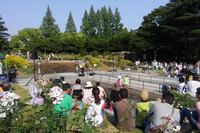 靱公園バラ祭のわたなべゆう