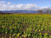 守山第一なぎさ公園