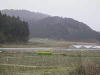 近くの風景