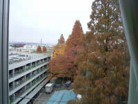 病室からの風景