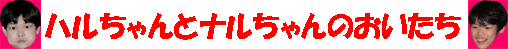 ハルちゃんとナルちゃんのおいたち